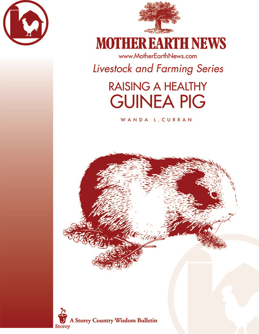 Raising A Healthy Guinea Pig, E-Handbook