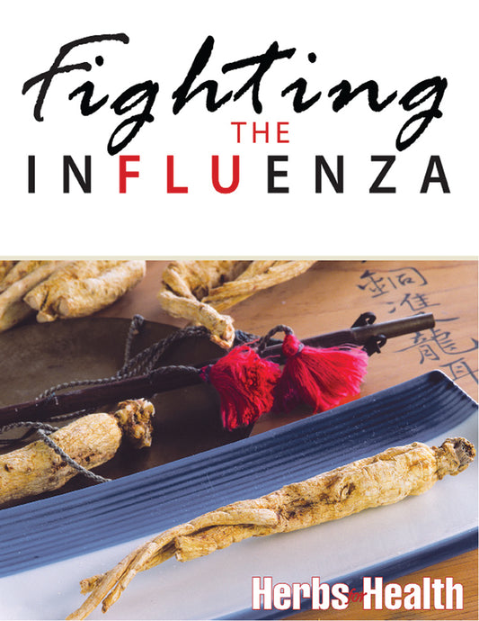 Fighting The Influenza, E-Book