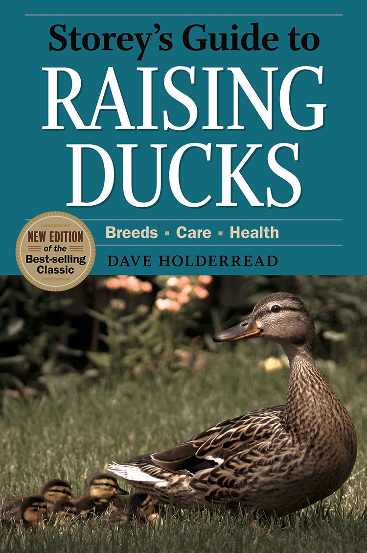 Duck Life To Do List Book: Rhodes, Karen: 9798609260628: : Books