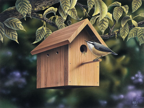 Bird Houses & Feeder, E-Plan