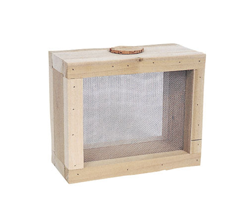 Children'S Bug Keeper, E-Plan