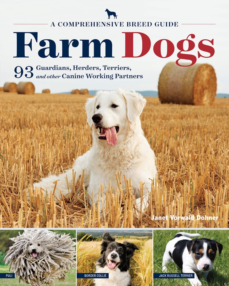 FARM DOGS