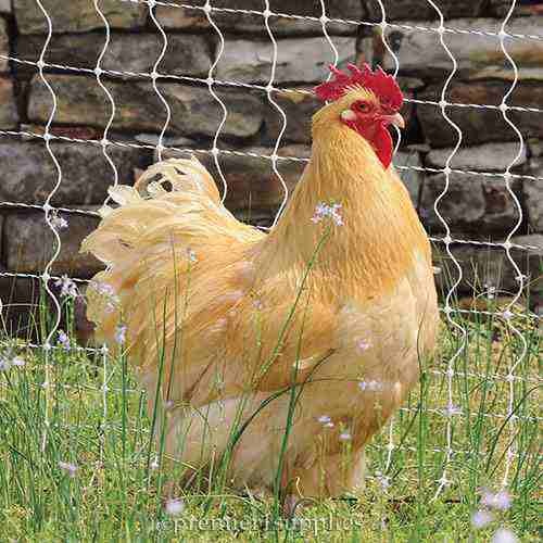 PoultryNet Plus 12/42/3 Starter Kit (Green/Black)