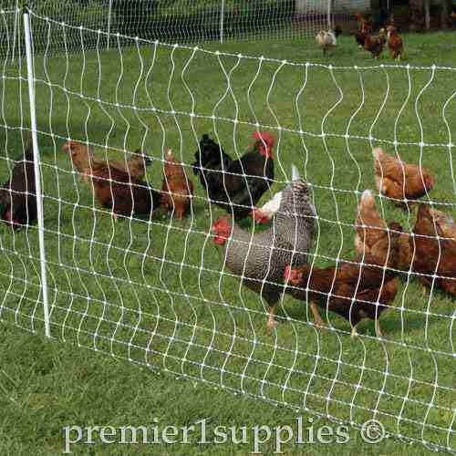 PoultryNet Plus 12/42/3 Starter Kit (Green/Black)