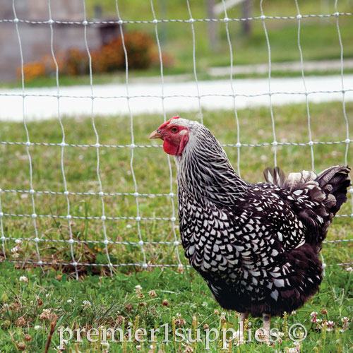 POULTRYNET® PLUS 12/48/3 STARTER KIT (BLACK/WHITE)