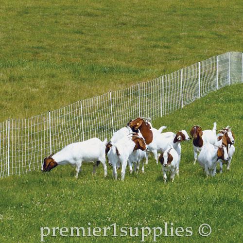 ElectroStop Plus 10/42/12 Starter Kit (Black/White)