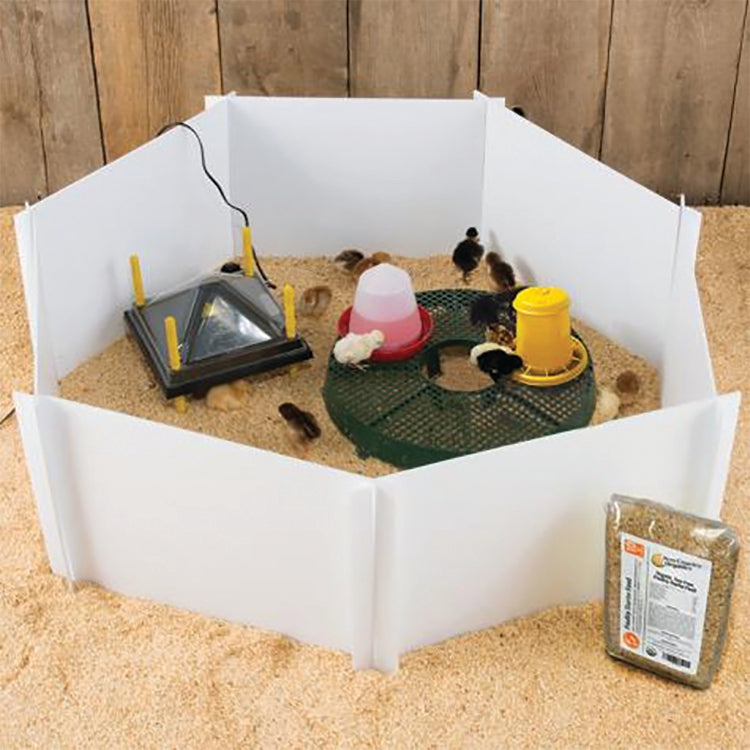 Chicken Brooder Kit With Heating Plate