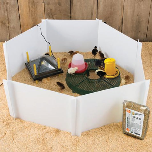 Chicken Brooder Kit With Heating Plate