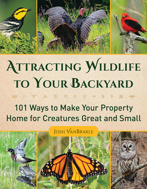 ATTRACTING WILDLIFE TO YOUR BACKYARD