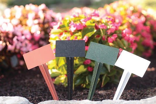 15-Pack Of 9-Inch Plant Markers
