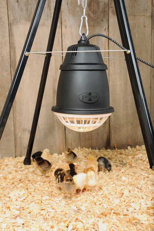 HEAT LAMP STAND