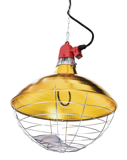 600 Watt Carbon Fiber Heater With 12'' Diameter Shade