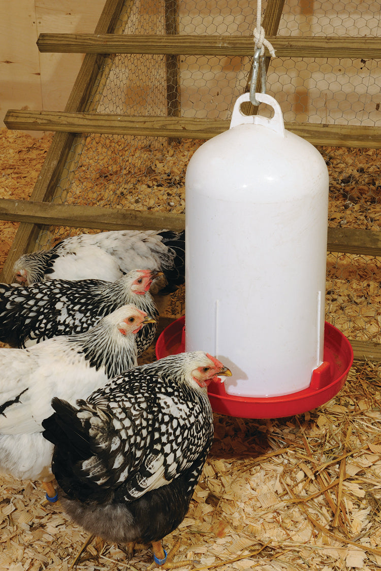 TOP FILL FOUNTAIN WATERER