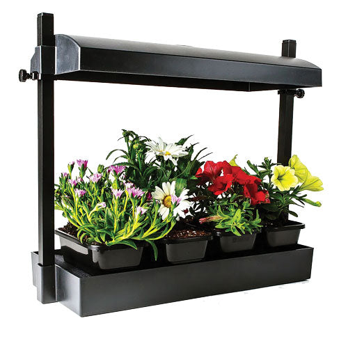 T5 MICRO GARDEN GROW LIGHT