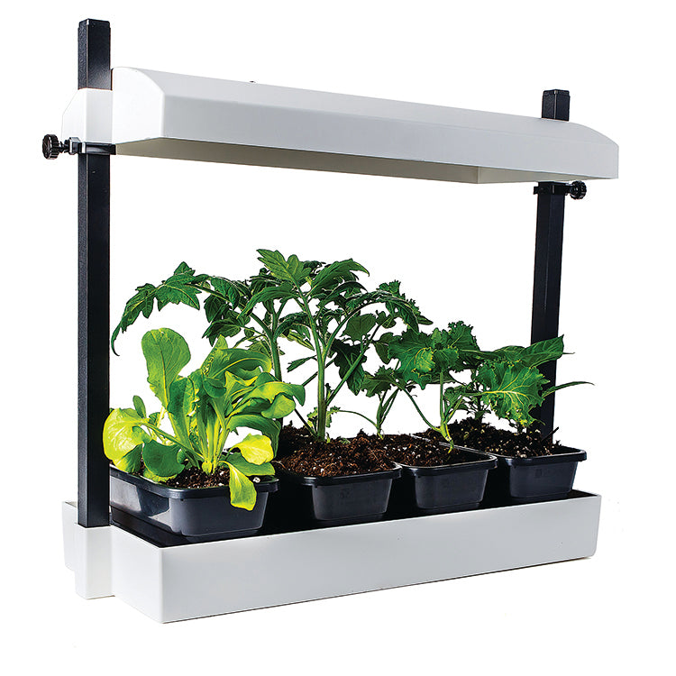 T5 MICRO GARDEN GROW LIGHT