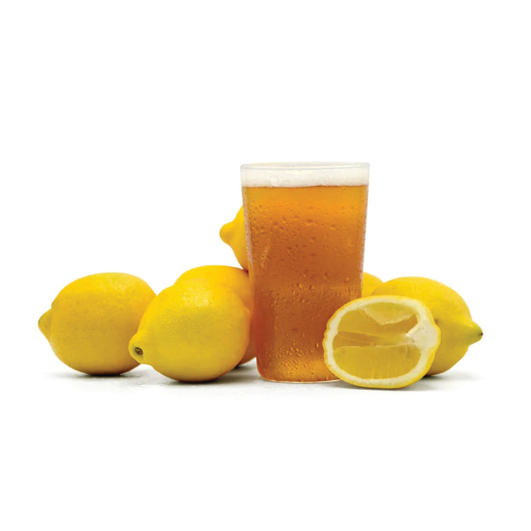 SUMMER SQUEEZE LEMON SHANDY EXTRACT BEER RECIPE KIT