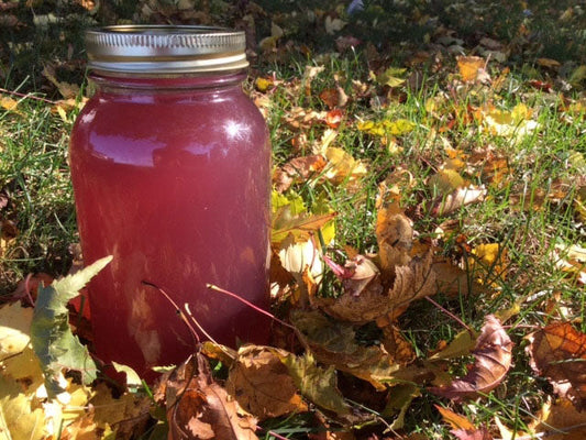 Water Kefir Complete Starter Set