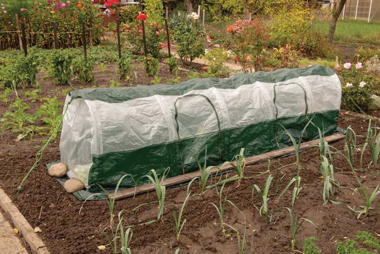 Polytunnel "Superdome"