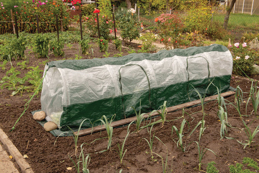 Polytunnel "Superdome"