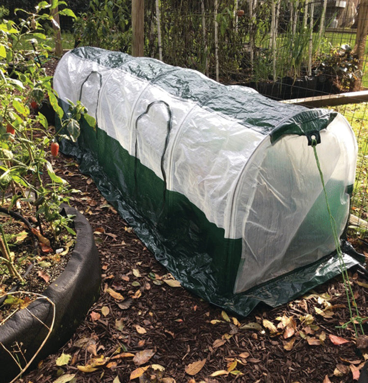 Polytunnel "Superdome"