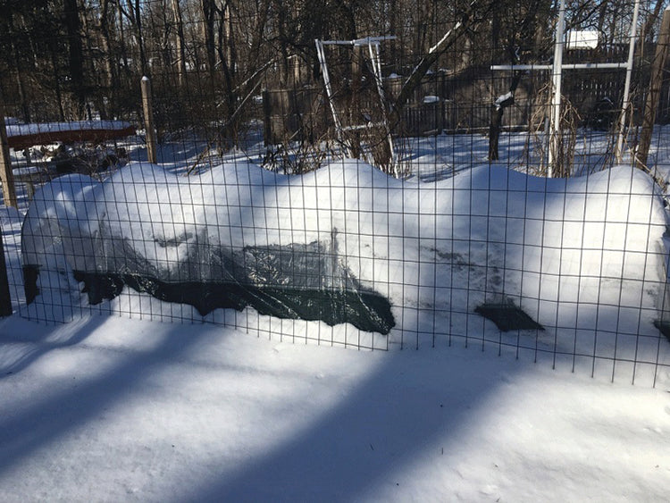 Polytunnel "Superdome"