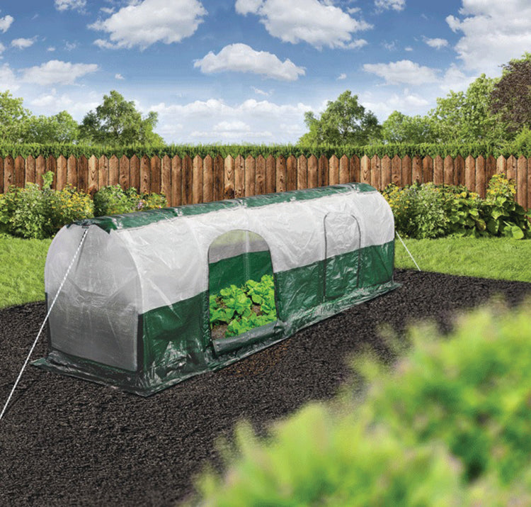 Polytunnel "Superdome"