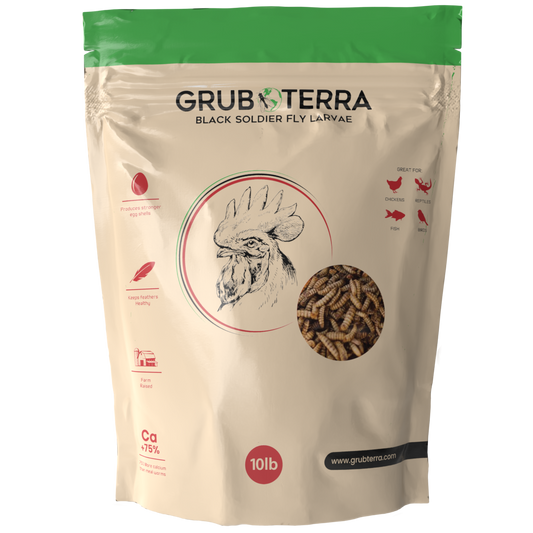 GrubTerra Black Soldier Fly Larvae | 5lb & 10lb Bags