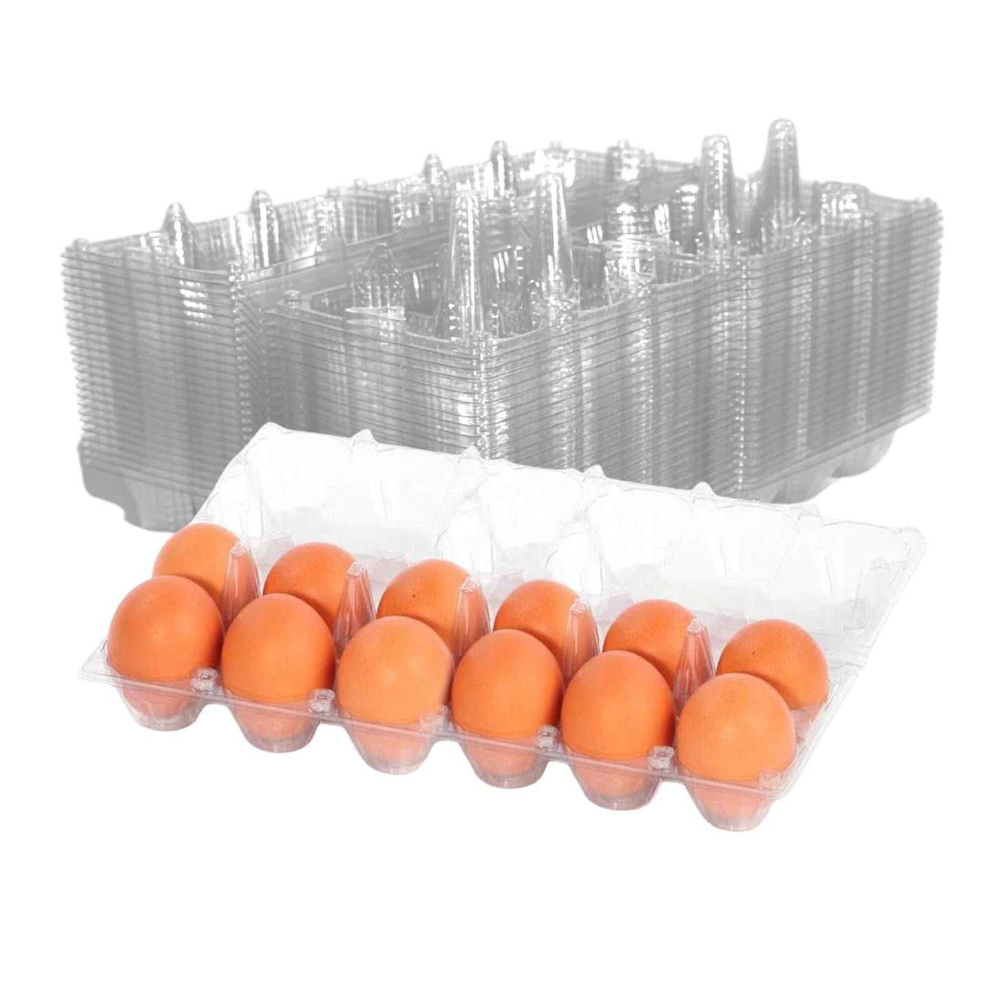 12-Egg Cartons - Clear Plastic