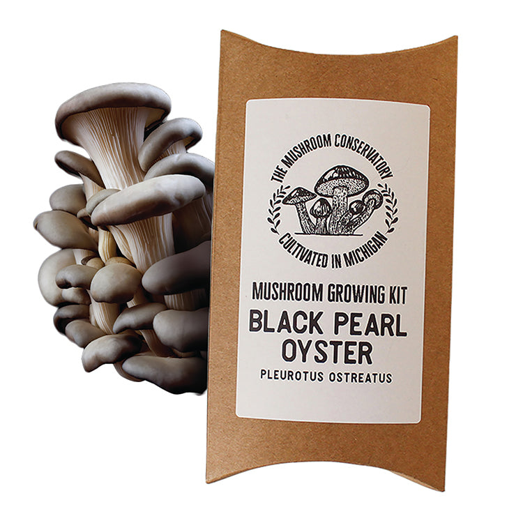 BLACK PEARL OYSTER MUSHROOM GROWING KIT