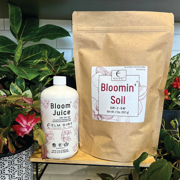 Bloom Power Bundle – Mother Earth News