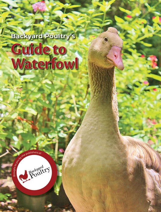 BACKYARD POULTRY'S GUIDE TO WATERFOWL
