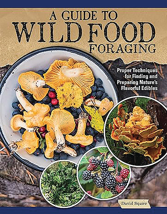 A Guide To Wild Food Foraging – Mother Earth News