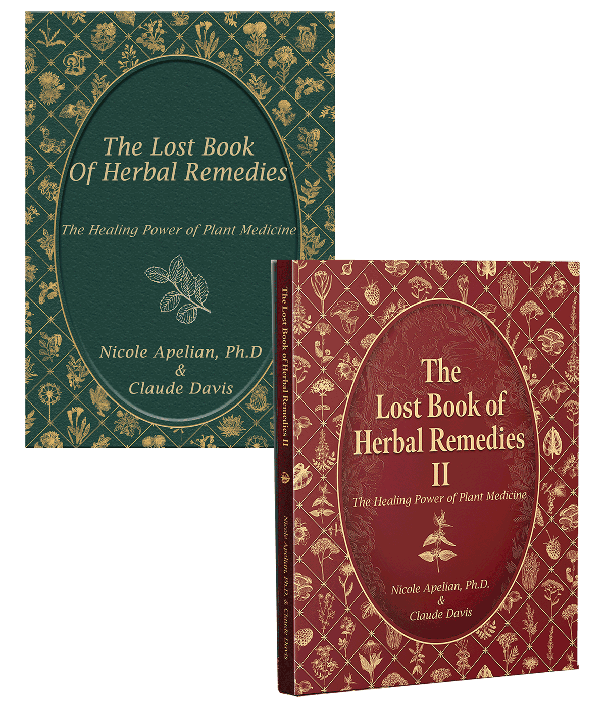 THE LOST BOOK OF HERBAL REMEDIES SET