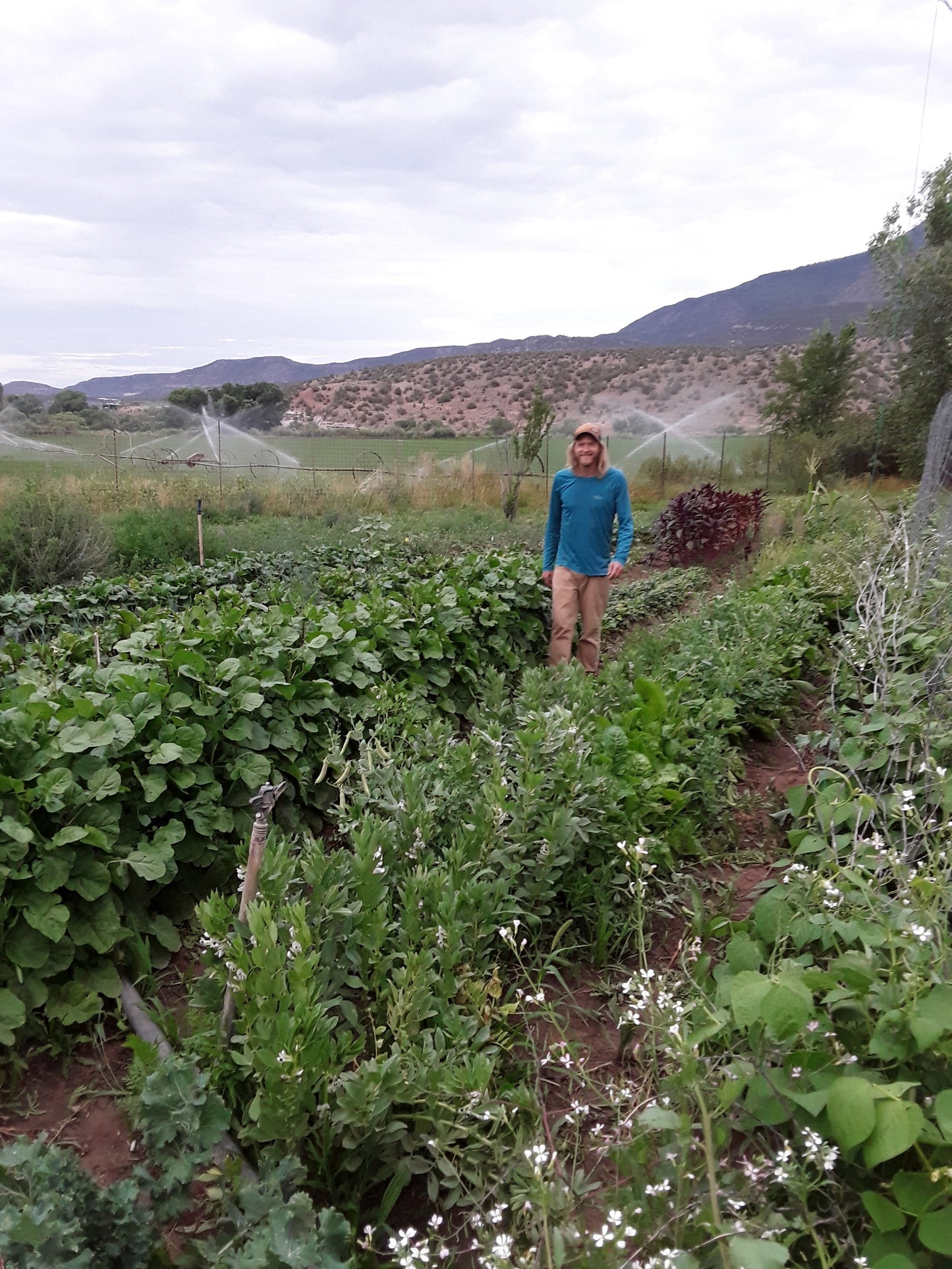 Full Seed CSA Share - 50 Varieties Curated for Your Area!