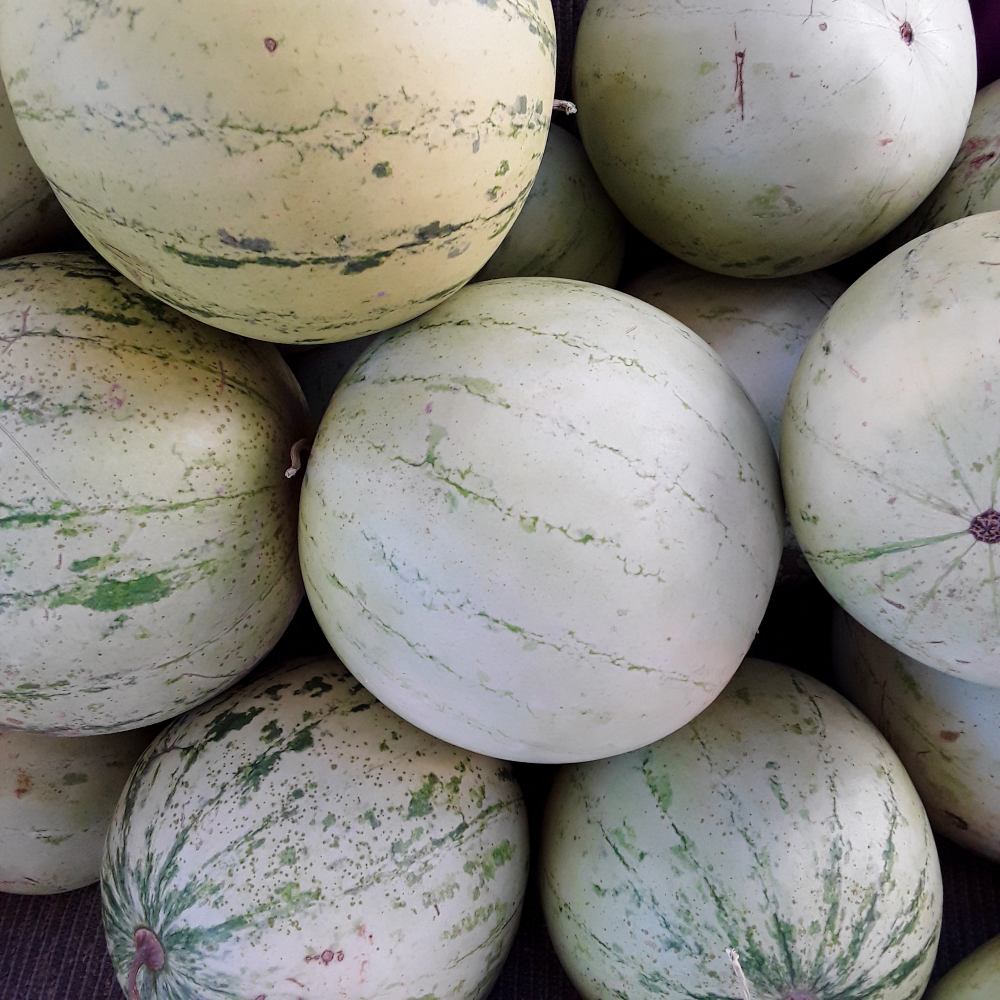 Diné Origin Sweet Storage Watermelon