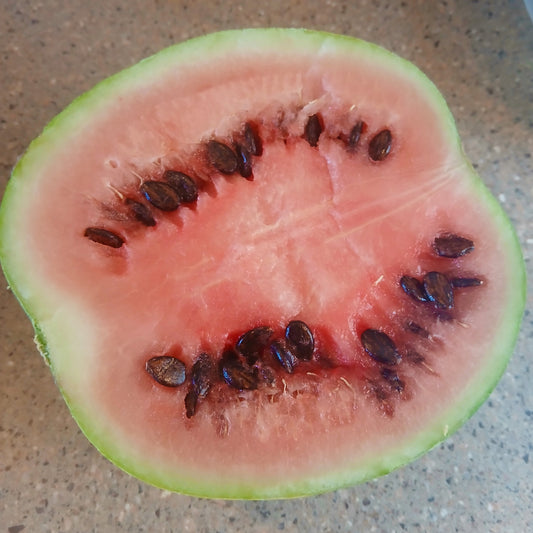 Pueblo Watermelon Mix