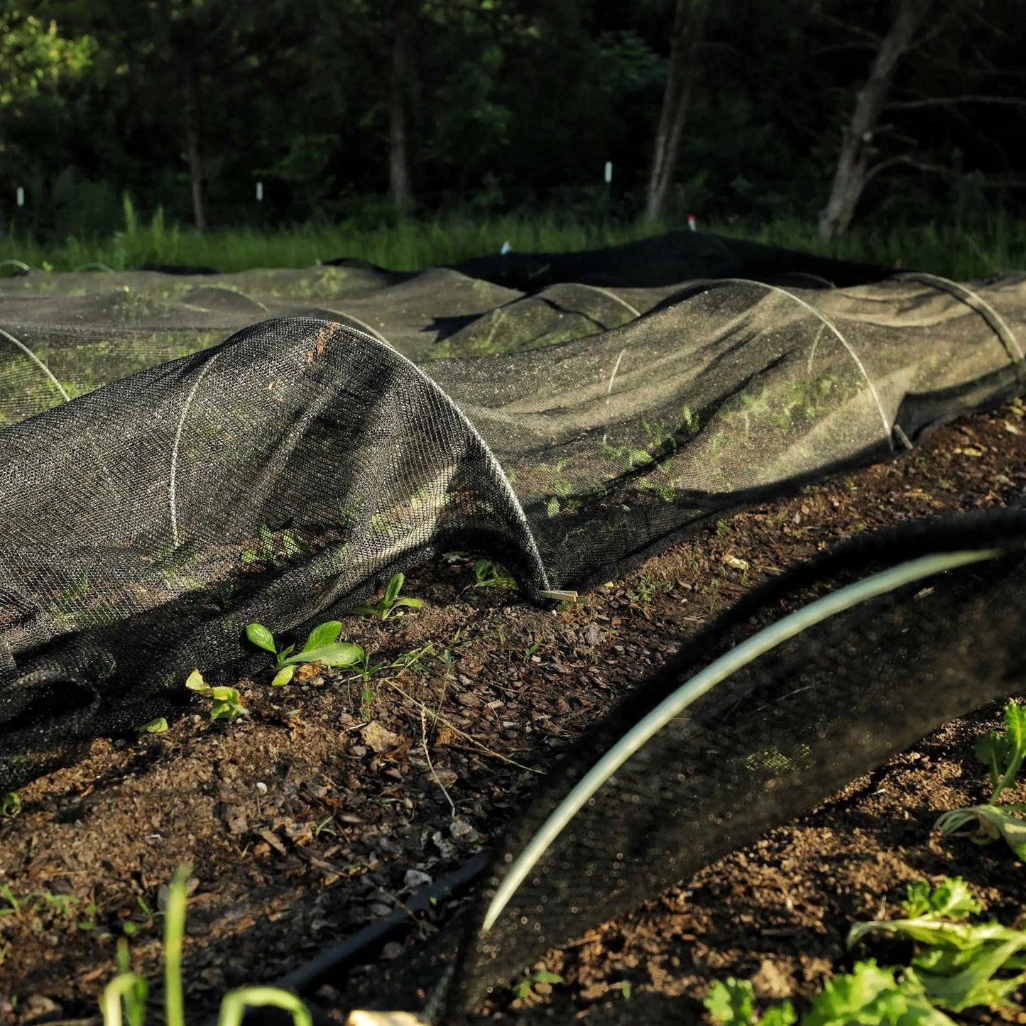 Greenhouse Shade Cloth - 30% Black