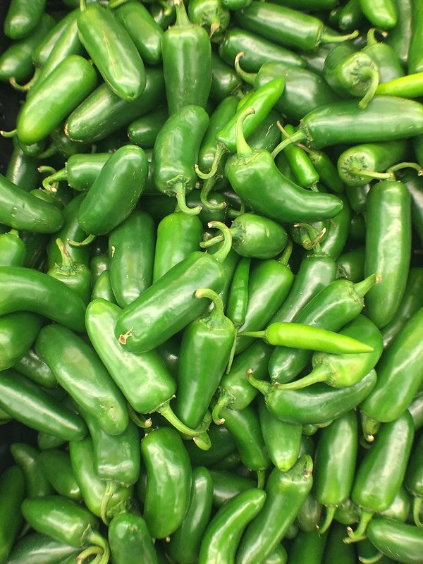 Early Jalapeño Peppers
