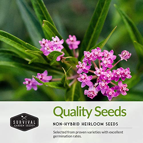 Milkweed Seed Collection – Common, Butterfly, and Rose Milkweed for Monarch Support