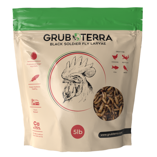 GrubTerra Black Soldier Fly Larvae | 5lb & 10lb Bags