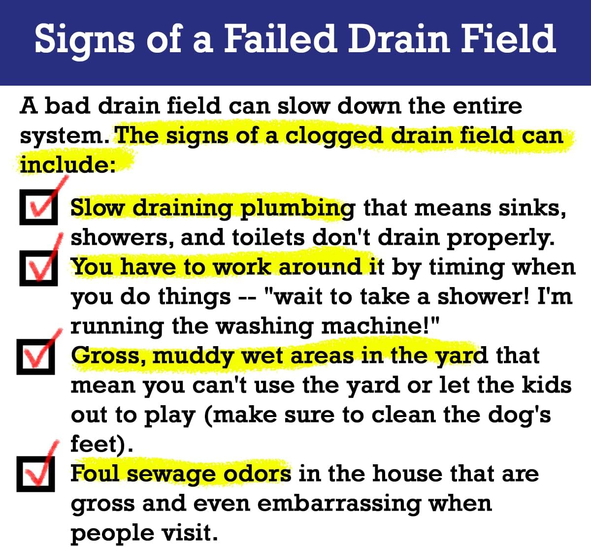 Drain Field Cleaner Tablets