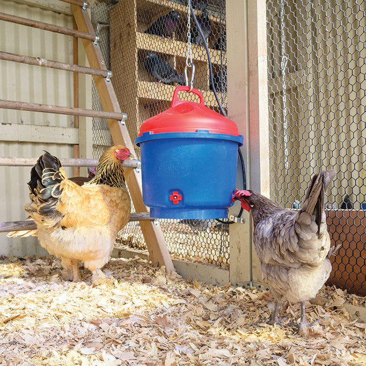 HEATED POULTRY WATERER