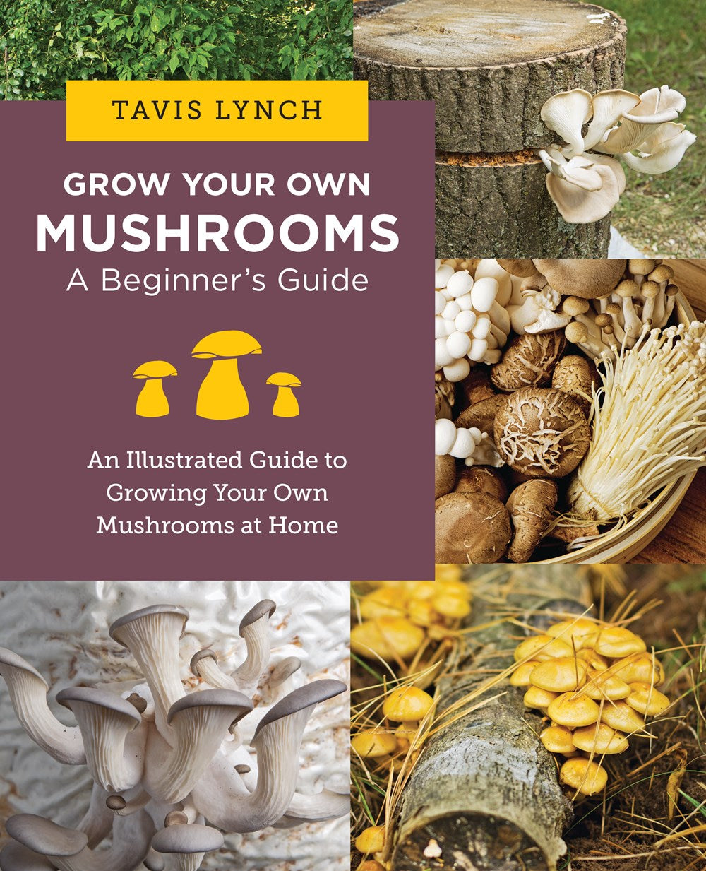 GROW YOUR OWN MUSHROOMS