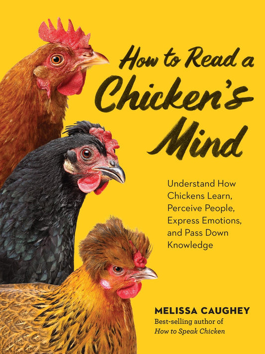 HOW TO READ A CHICKEN'S MIND