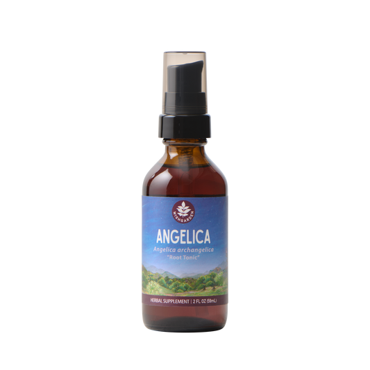 Angelica