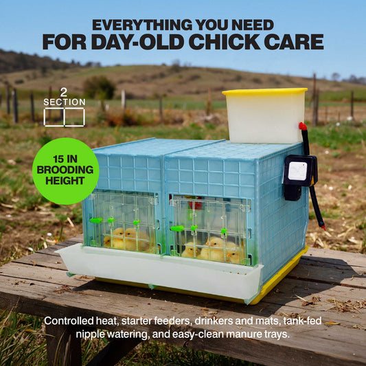 Chick Brooder - 2 Section H:15" (Starter Kit for Chickens, Turkeys, Ducks)
