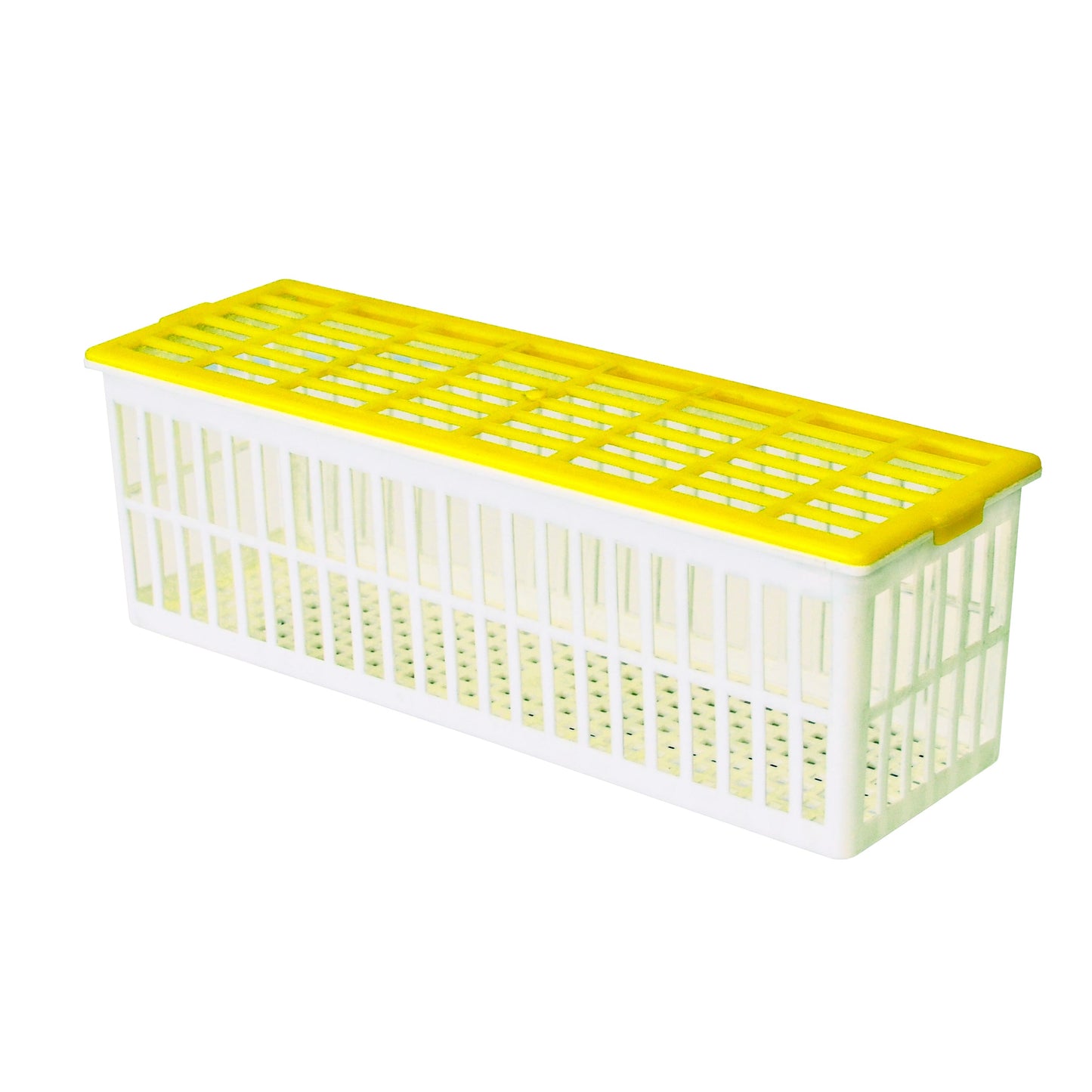 EGG BASKET, 6 EGGS