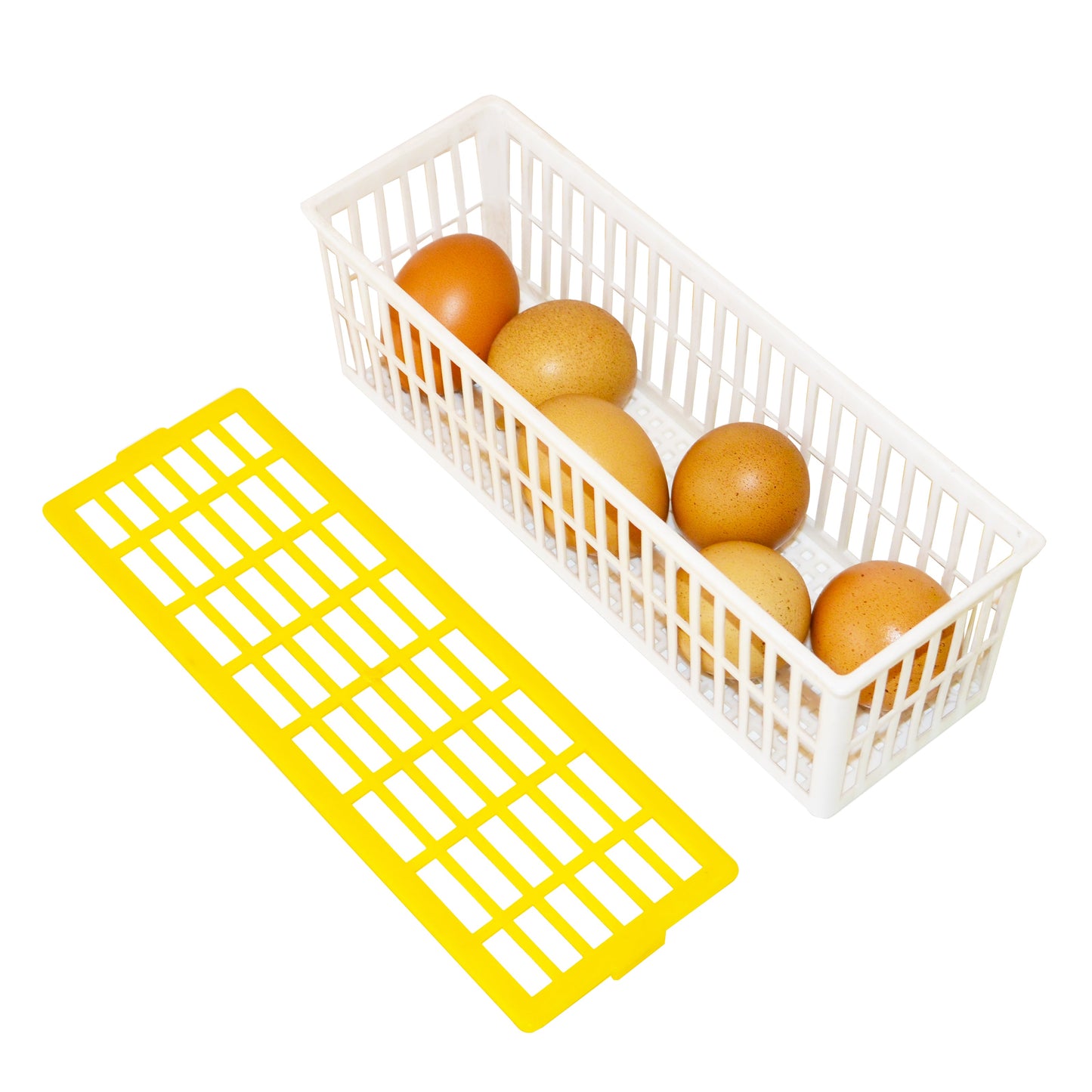 EGG BASKET, 6 EGGS