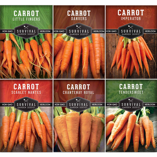 Carrot Seed Collection – Six Heirloom Garden Carrot Varieties for Fresh Eating, Juicing, Storage & Preserving