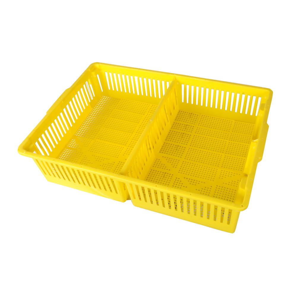 Large Chick Basket - 2 Section (2x50 Chicks)